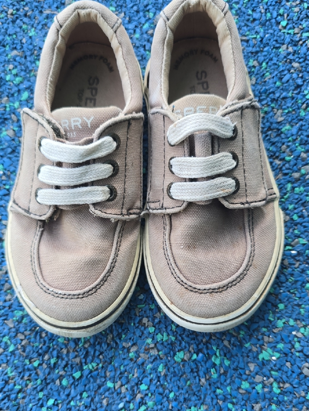 Sperry Kids Taupe Canvas Sneakers with Cream Laces